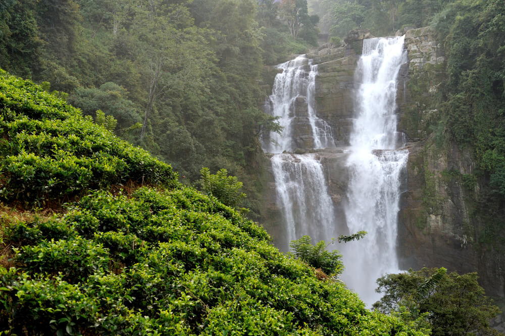 5 Days Murchison Falls Safari