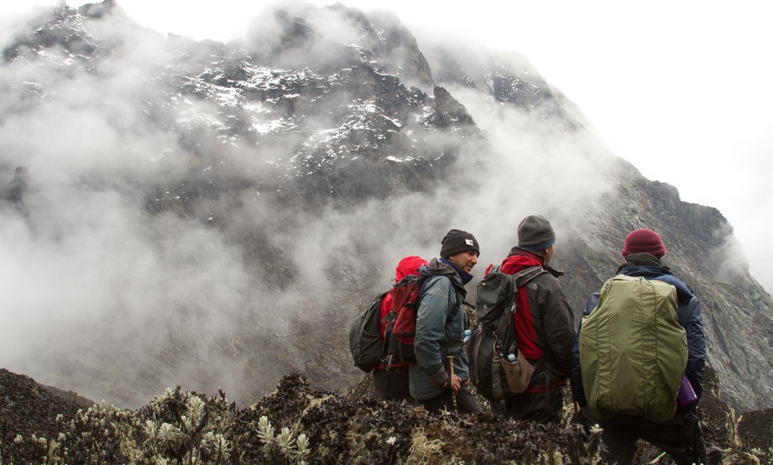 Hikers ascending a volcanic mountain in East Africa, surrounded by lush greenery and misty peaks.