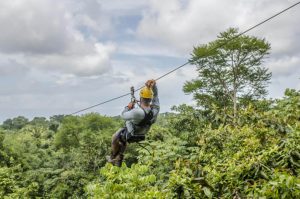 Zip Lining