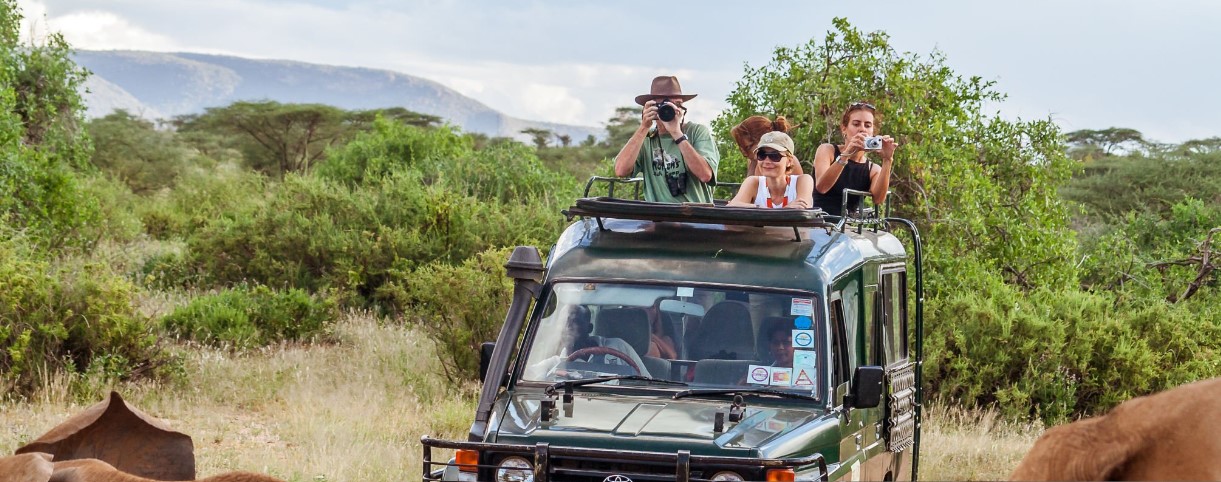 Group safari in Uganda and Rwanda: tourists enjoying wildlife and primate tracking, including gorillas and chimpanzees, in scenic landscapes