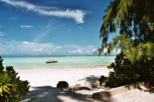 8 Must-See Things to Include in Your Tanzania Itinerary