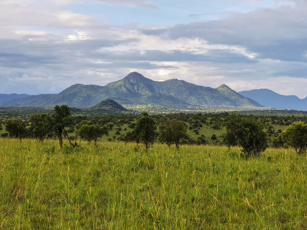 explore kidepo valley national park uganda