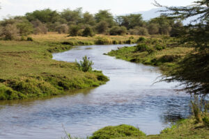 Going to Lake Manyara National Park