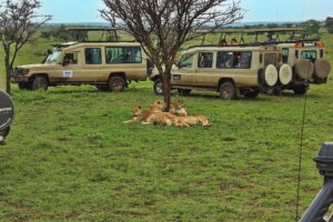 Great Safari Spots in Tanzania