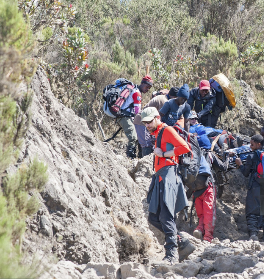 Climbing Mount Kilimanjaro with stunning landscapes, wildlife, and cultural experiences along the journey.