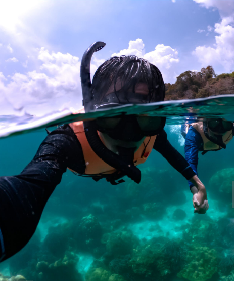 Scuba diver exploring vibrant coral reefs in Zanzibar’s crystal-clear waters.