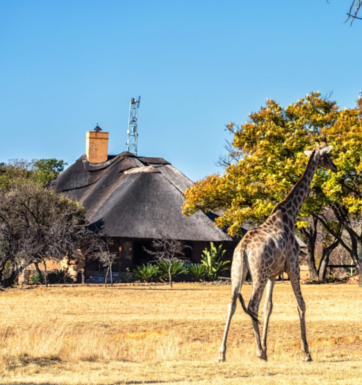 Luxury safari lodge in Tanzania with stunning wildlife and breathtaking views