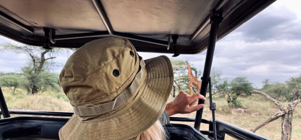 Luxury safari lodges in Tanzania with stunning wildlife views and exclusive accommodations.