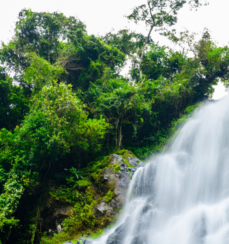 Scenic Tanzania waterfalls and landscapes with lush greenery and breathtaking views.