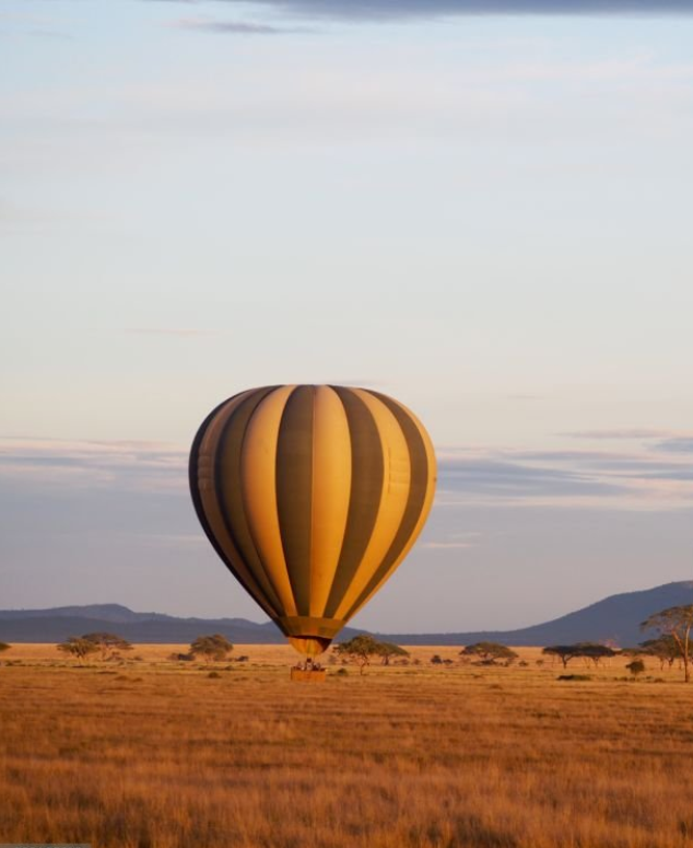 Hot air balloon floating over the Serengeti Plains with stunning wildlife and sunrise views.