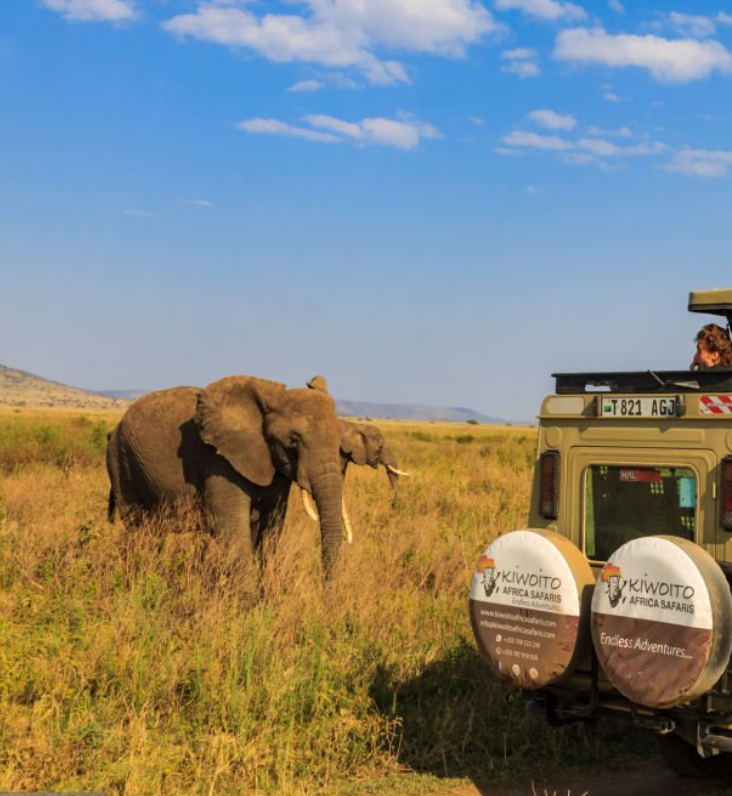 Tanzania safari tours showcasing wildlife, landscapes, and luxury accommodations in Serengeti, Ngorongoro, and more.