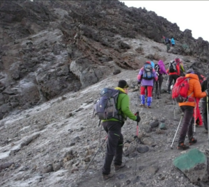 How to Book a Kilimanjaro Trek?