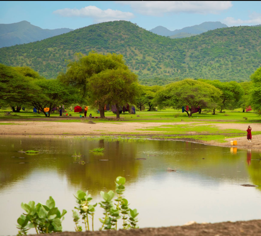 Tanzania's hidden gems: serene beaches, remote wildlife, and cultural adventures off the beaten path.