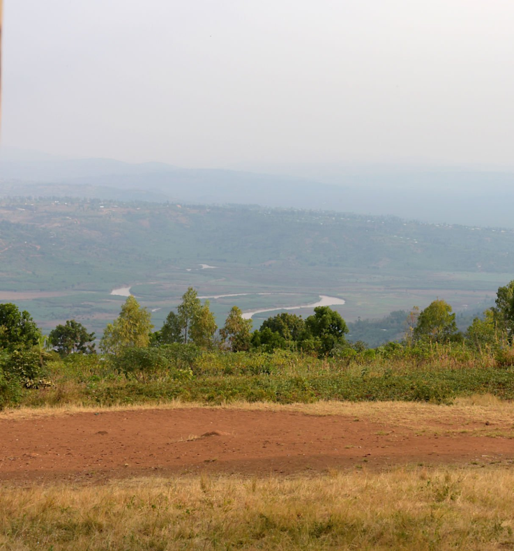 Gorilla trekking in Rwanda during dry season: best time to visit