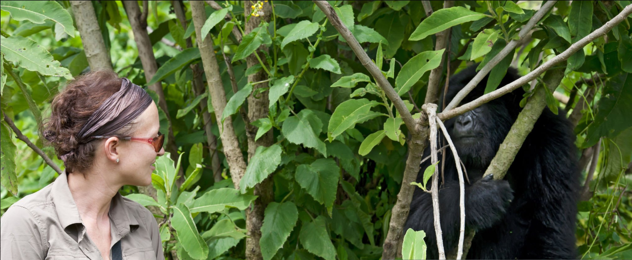 Gorilla trekking attire Rwanda: hikers in proper gear for Volcanoes National Park adventure