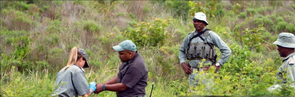 Health and safety safari tips for Tanzania wildlife and travel precautions.