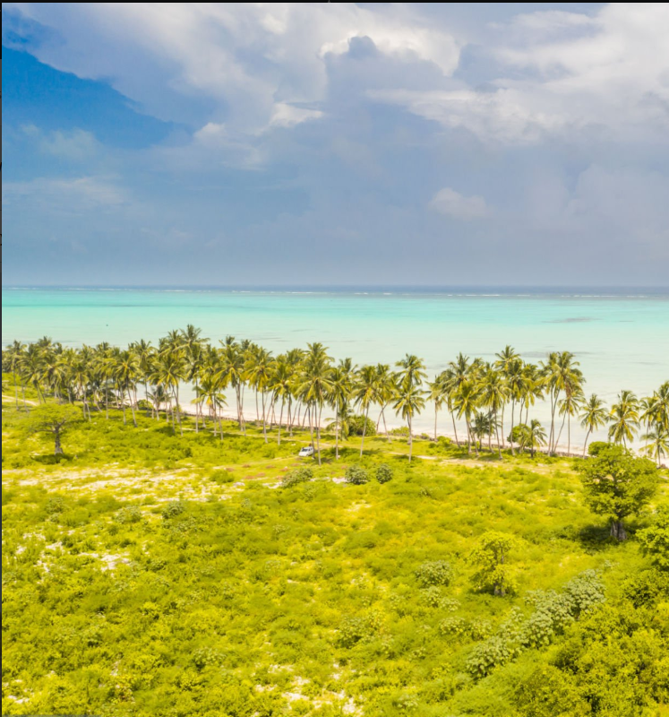 Pristine beaches, turquoise waters, and hidden islands in Tanzania's tropical paradise