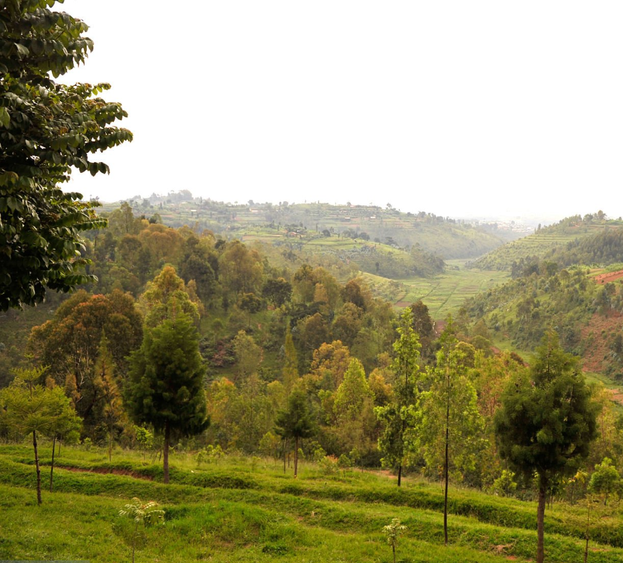 Beginner-friendly Rwanda hiking trails through lush hills and scenic landscapes.