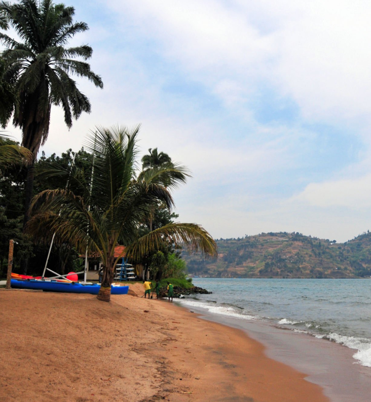 Sunset at Lake Kivu beaches with palm trees and calm waters