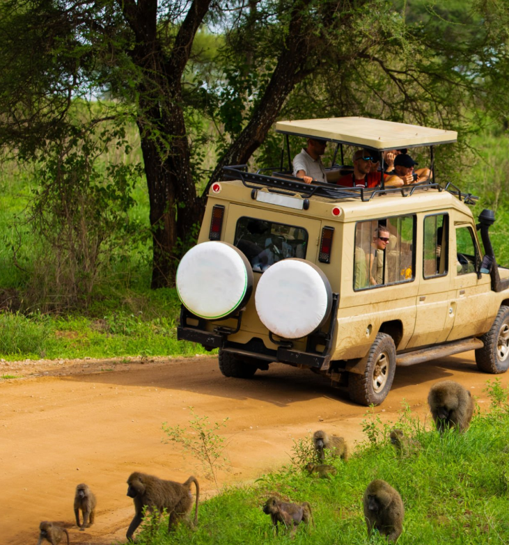 Luxury safari lodges in Tanzania with stunning wildlife views and exclusive accommodations.