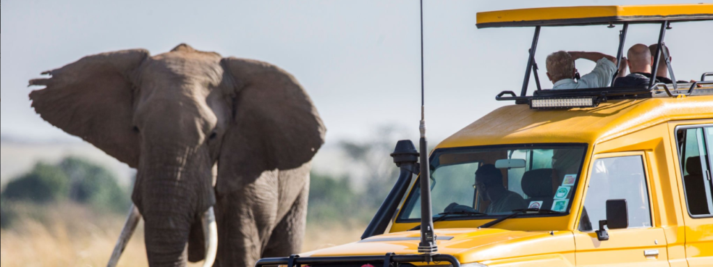 Luxury vs budget safari in Tanzania: wildlife, lodges, and landscapes