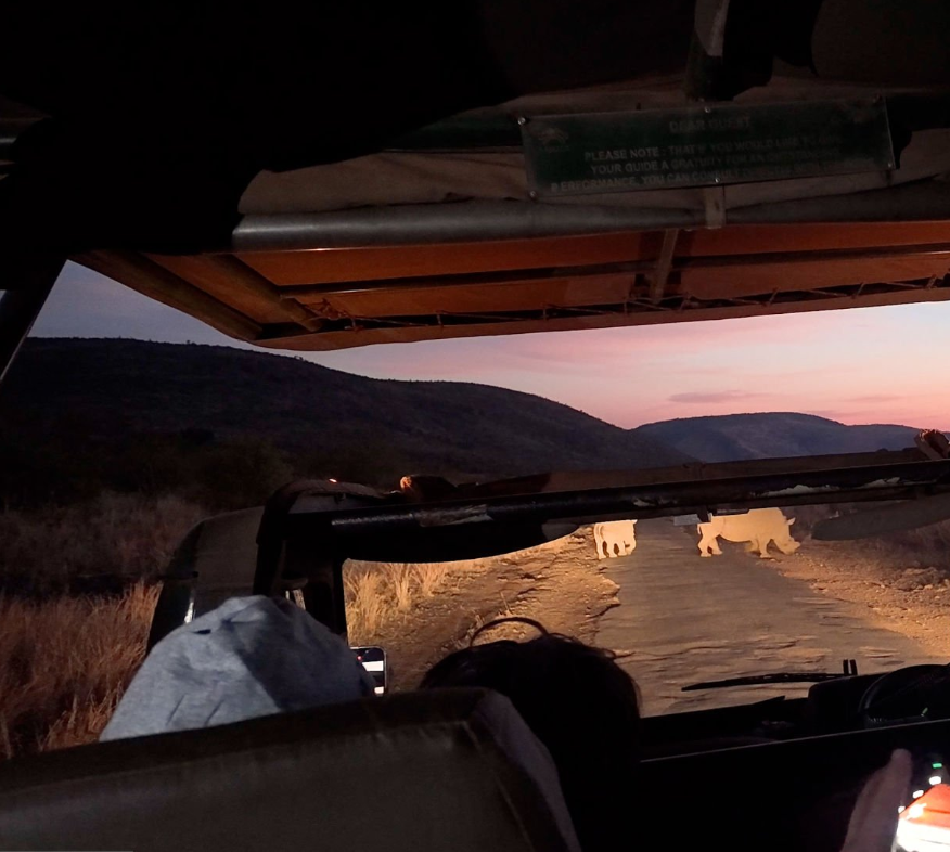 Night game drives in Akagera National Park showcasing nocturnal wildlife under starlit skies.