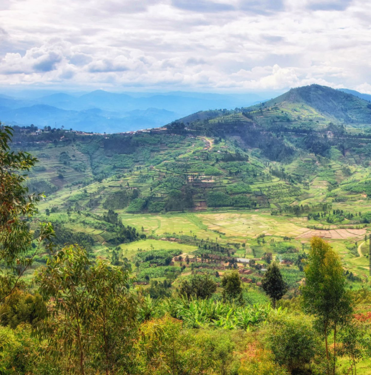 Prepare for Rwanda altitude changes with travel tips and scenic views
