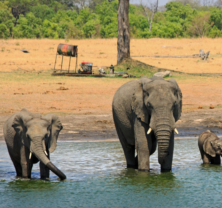 Katavi National Park safari, wildlife, floodplains, and remote wilderness in Tanzania.