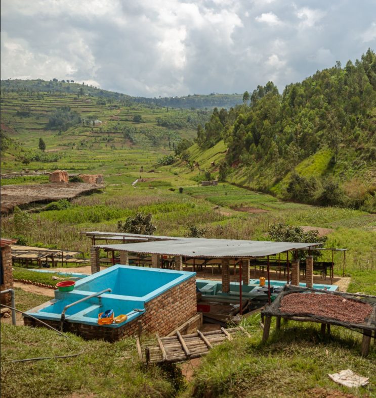 Rwandan cuisine, markets, and dishes featured in a culinary adventure guide.