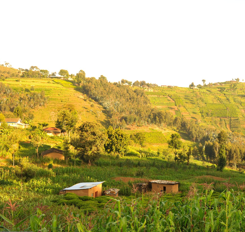 Family-friendly Rwanda destinations: gorillas, lakes, and lush landscapes for all ages