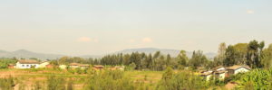 Discover Rwanda’s Best Safari Lodges for a Memorable Adventure