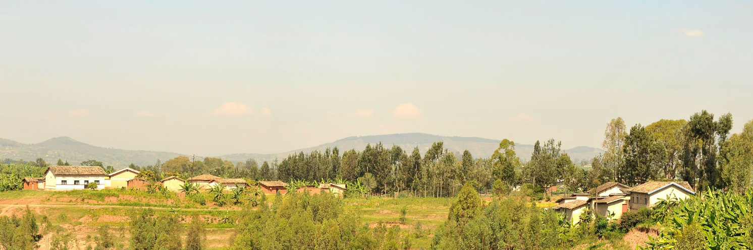 Rwanda safari lodges adventure: luxury tents, gorilla trekking, and stunning savannah views