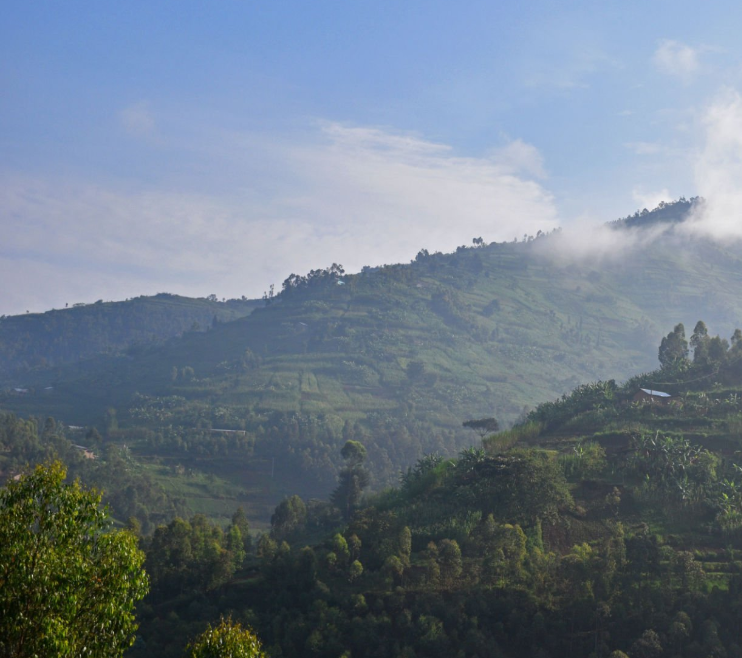 Scenic Rwanda weather and travel landscapes with mountains and wildlife