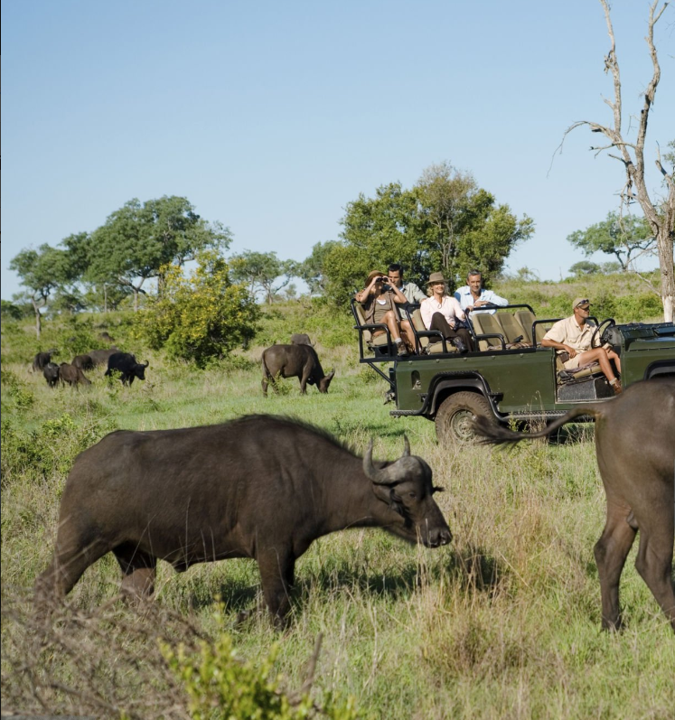 Arusha National Park safari: wildlife, Mount Meru, Momella Lakes, and lush landscapes.