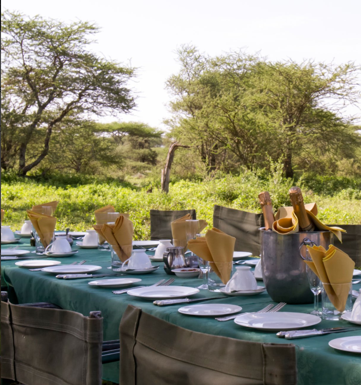 Bush dinners under Tanzania's starry sky with wildlife and African night ambiance.