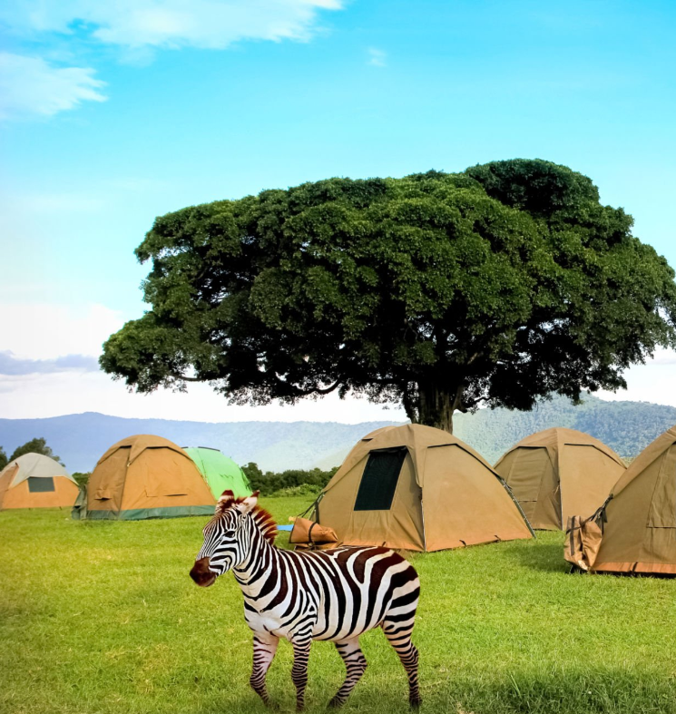 Tanzania camping safari experience under starry skies in Serengeti wilderness.