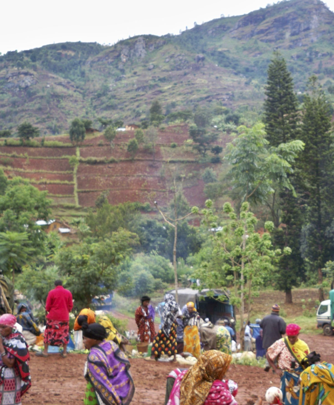 Tanzania cultural village tours showcasing local traditions, markets, and tribal experiences