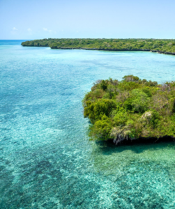 Explore Tanzania’s Coastal Beauty Beyond Zanzibar’s Shores