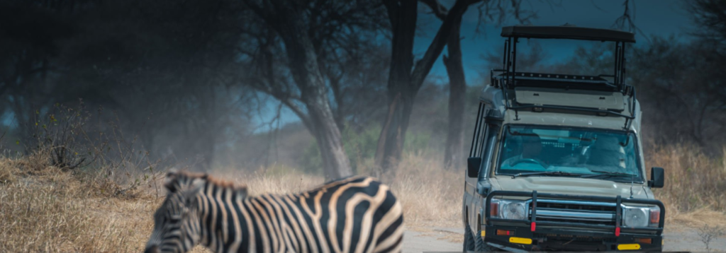 Tanzania safari cost breakdown: wildlife, accommodations, and scenic destinations.
