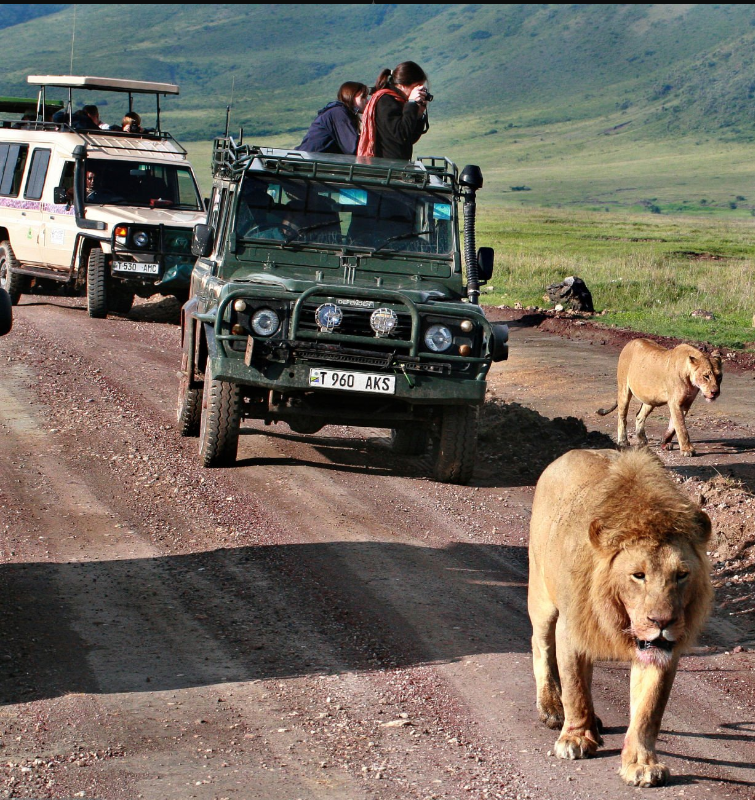 Family on Tanzania safari adventure, spotting wildlife in Serengeti National Park