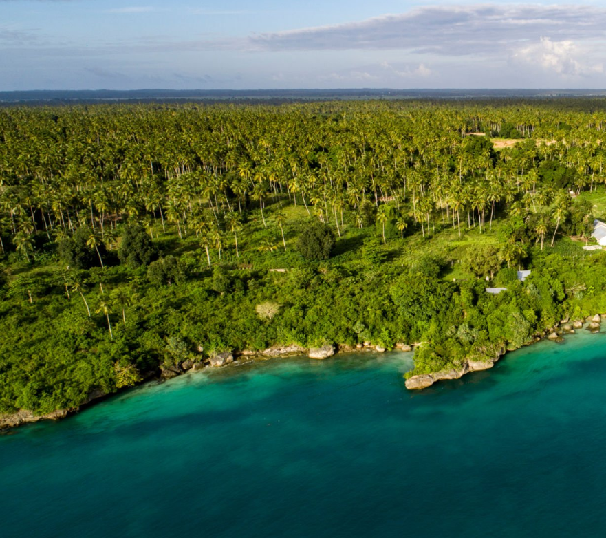 Tanzania's hidden coastal gems: pristine beaches, coral reefs, and lush island landscapes.