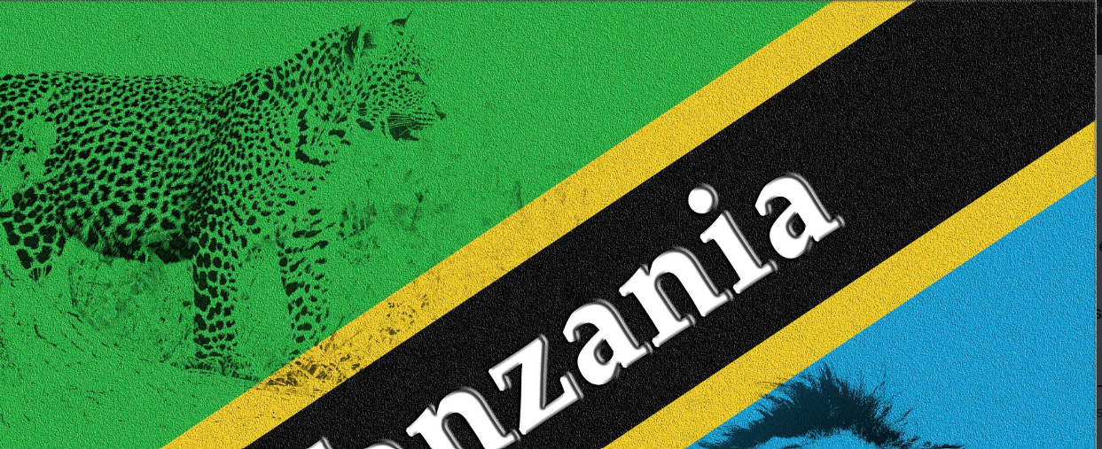 Tanzania's official languages: Swahili and English spoken nationwide