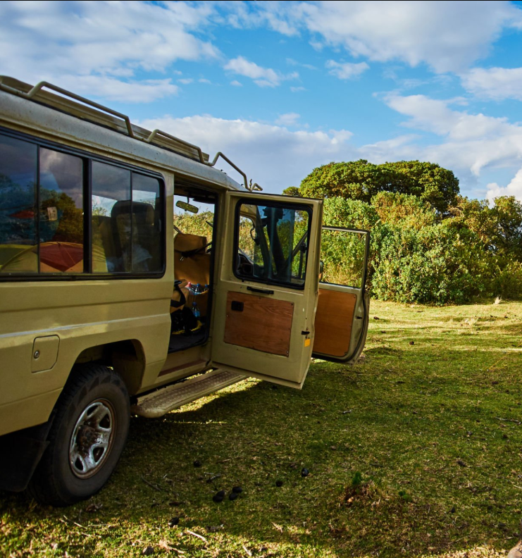 Thrill-seekers climbing Kilimanjaro, safari Serengeti, diving Zanzibar, Tanzania adventure activities guide.