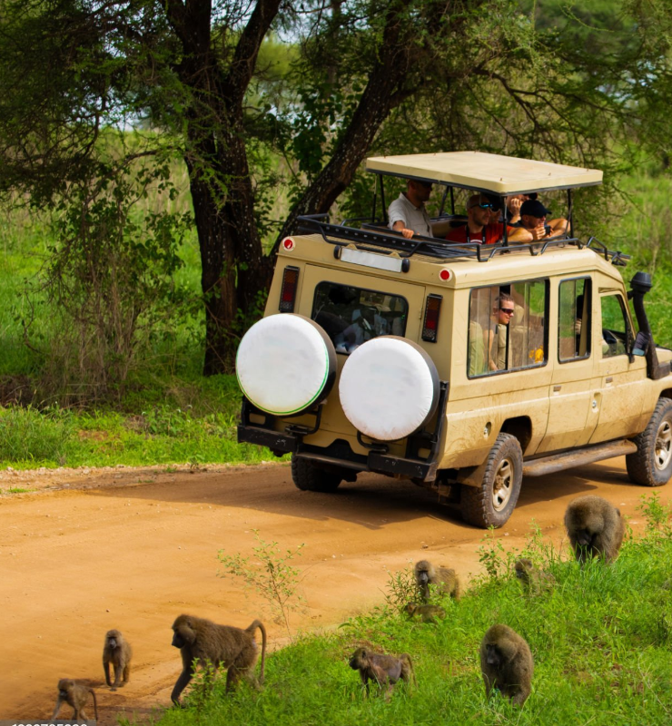 Tanzania safari landscapes, wildlife, and luxury lodges for every travel budget.