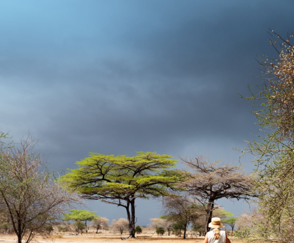 Tanzania safari weather guide: wildlife, landscapes, and best travel tips.