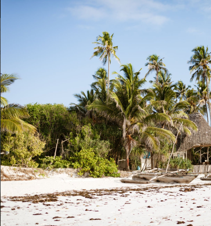 Discover Zanzibar, the perfect post-safari destination, with pristine beaches, rich culture, and luxury stays. Plan your escape now!