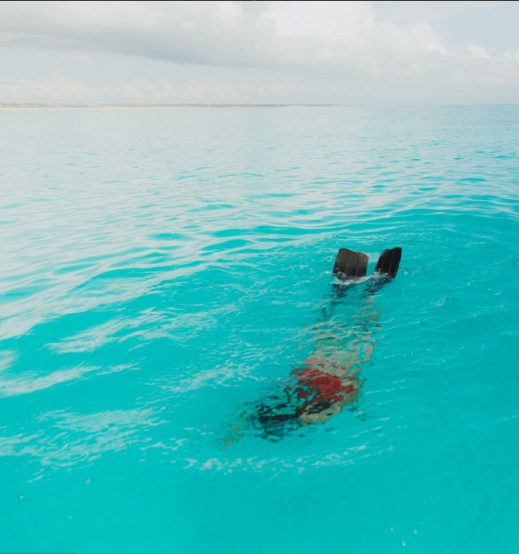 Snorkeling in Zanzibar's vibrant reefs, exploring marine life and crystal-clear waters.