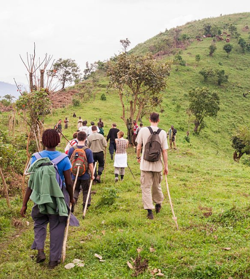 What’s Uganda’s Best Hiking Trail? Discovering Nature’s Majesty Step by Step