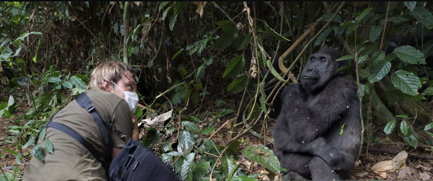 Can Disabled People Trek Gorillas? The Inspiring Answer