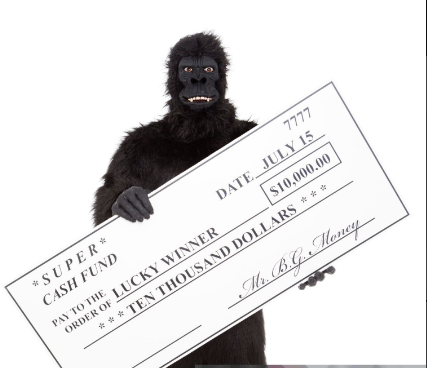 Can I pay gorilla permits in cash?